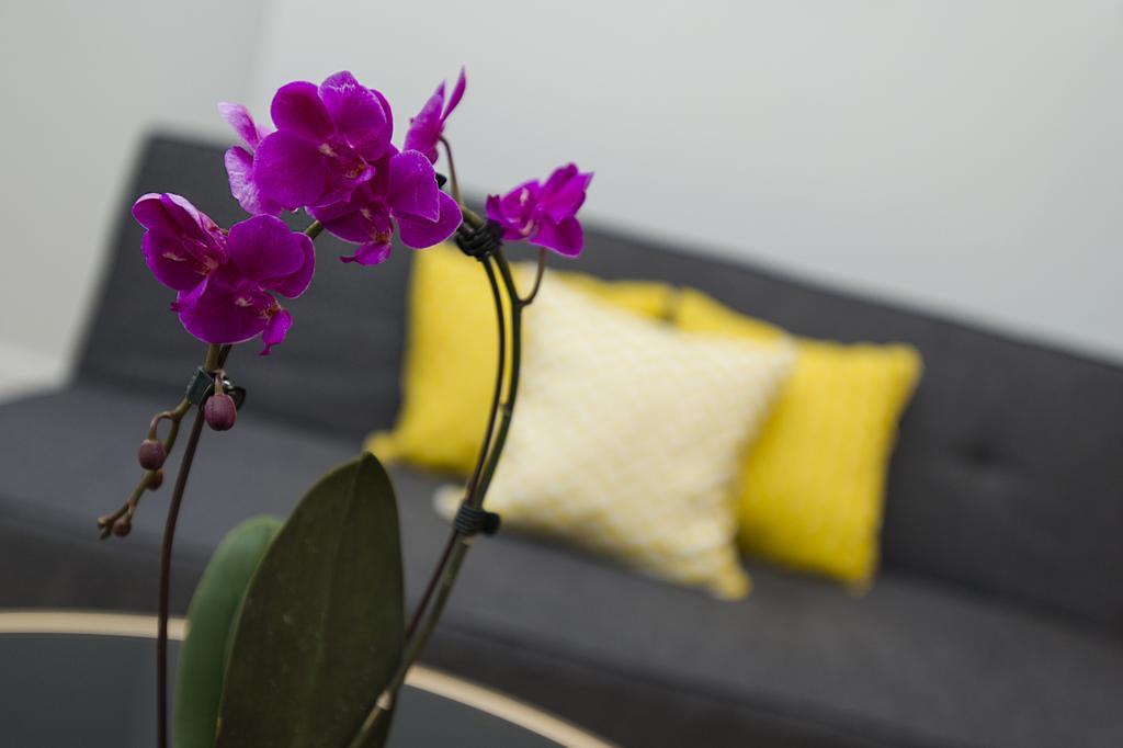 Market Street Apartments - City Centre Modern 1Bedroom Apartments With New Wifi And Very Close To Tram Nottingham Zewnętrze zdjęcie